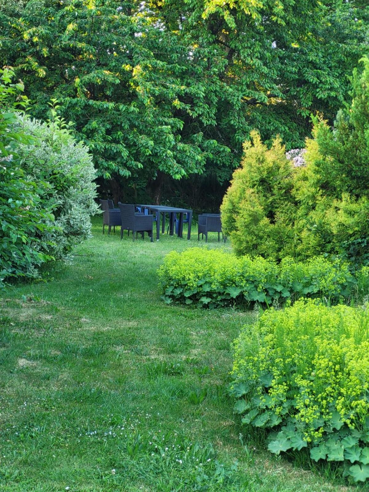 Niedenstein D&B Staycation Ferienpark מראה חיצוני תמונה